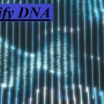 Spotify DNA